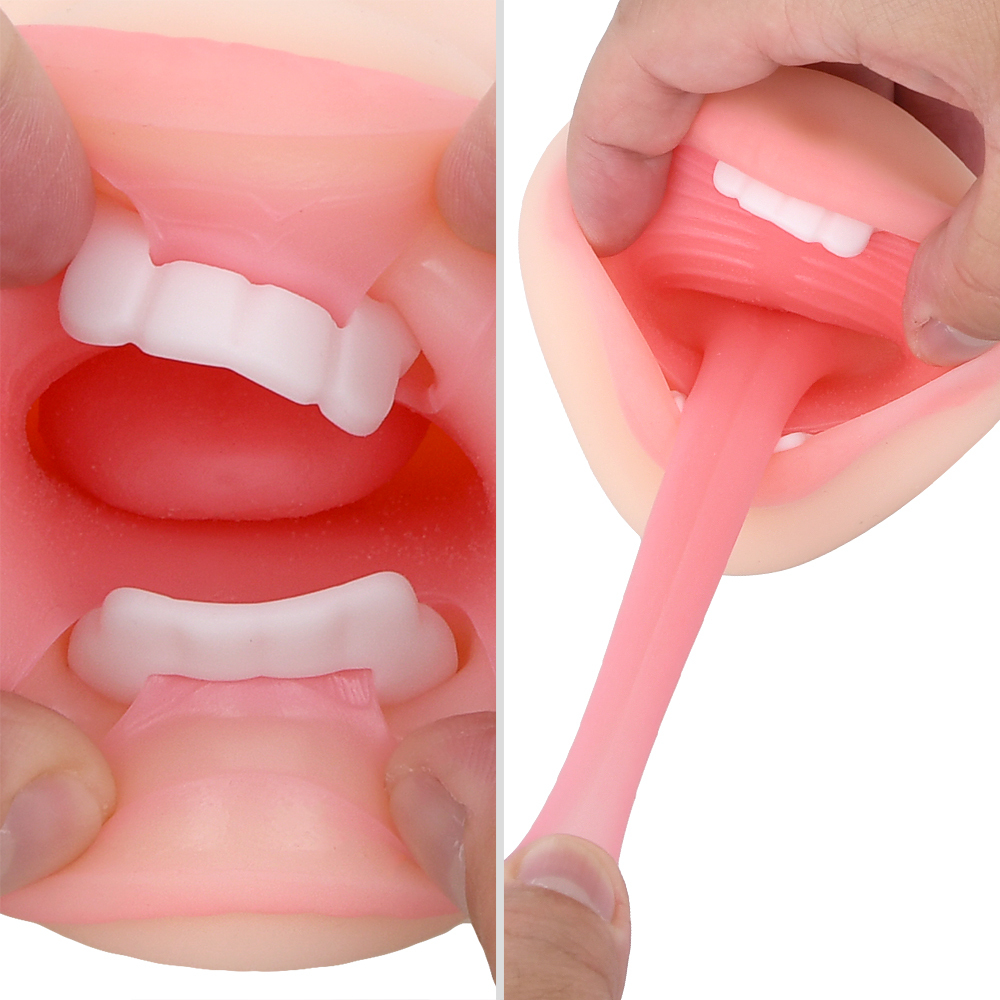 치아와 혀 구조